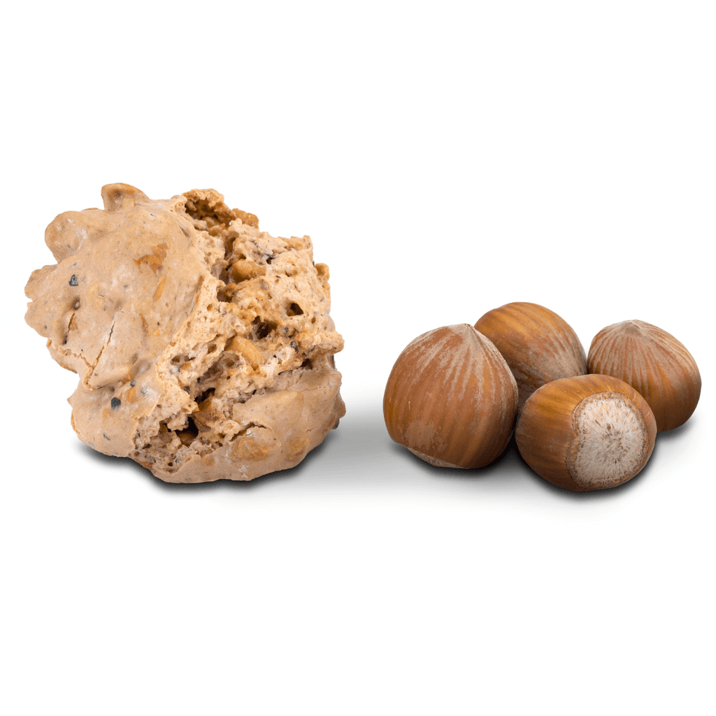 Brutti e Buoni