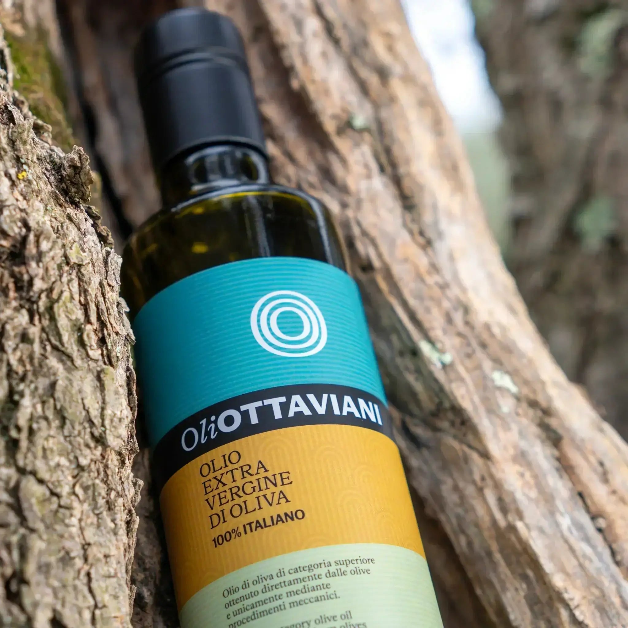 Olio EVO – Set 3 × 750ml