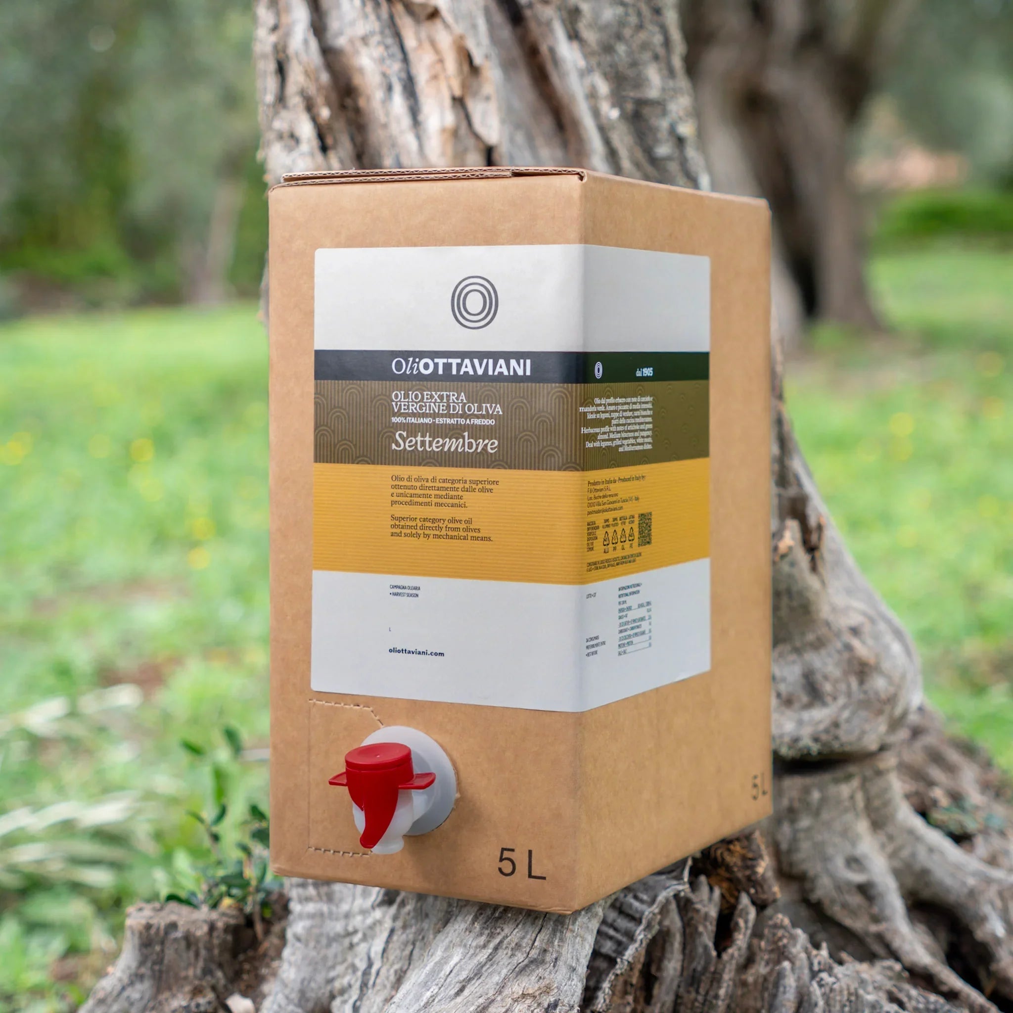 Olio EVO – Preordine Novello 2026/2027