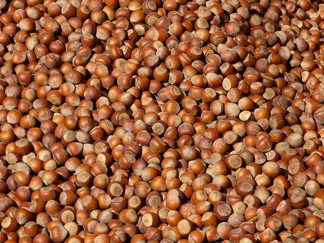 Tegole alla Nocciola Piemonte IGP: Croccanti, Sottili, Senza Compromessi. Oltre il 50% di Nocciole, Zero Glutine
